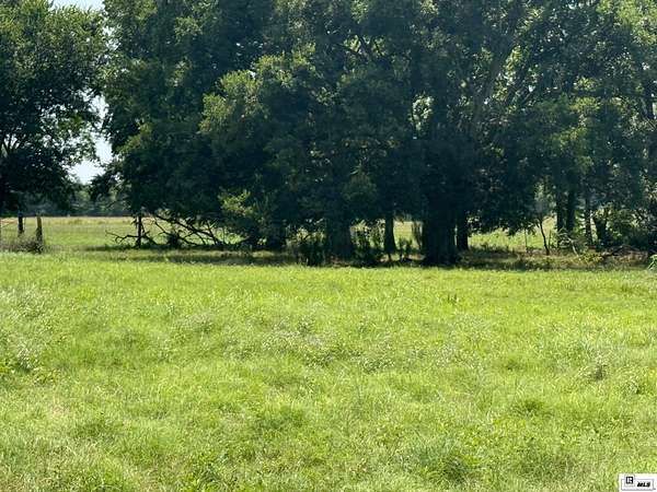22.2 Acres of Agricultural Land for Sale in Rayville, Louisiana