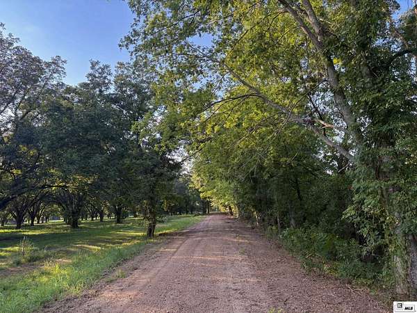 1.5 Acres of Residential Land for Sale in Tallulah, Louisiana