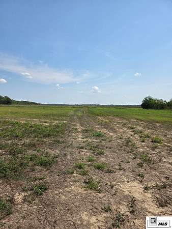 33 Acres of Commercial Land for Sale in Rayville, Louisiana