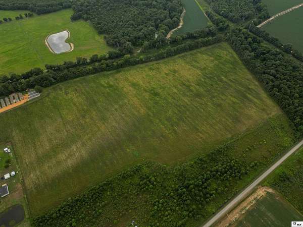 75 Acres of Agricultural Land for Sale in Rayville, Louisiana