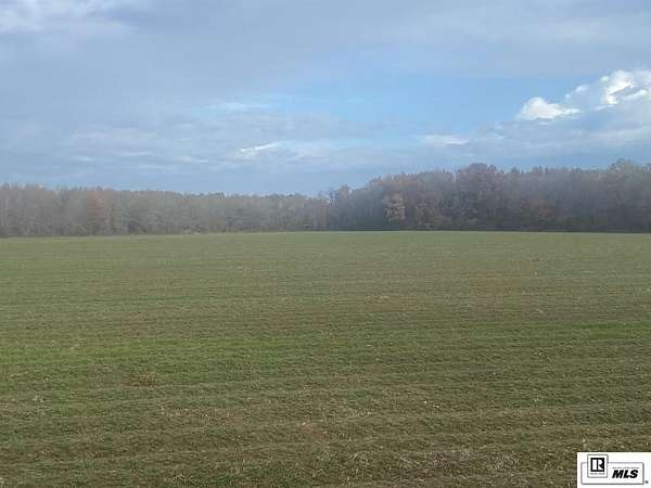 23.6 Acres of Agricultural Land for Sale in Delhi, Louisiana