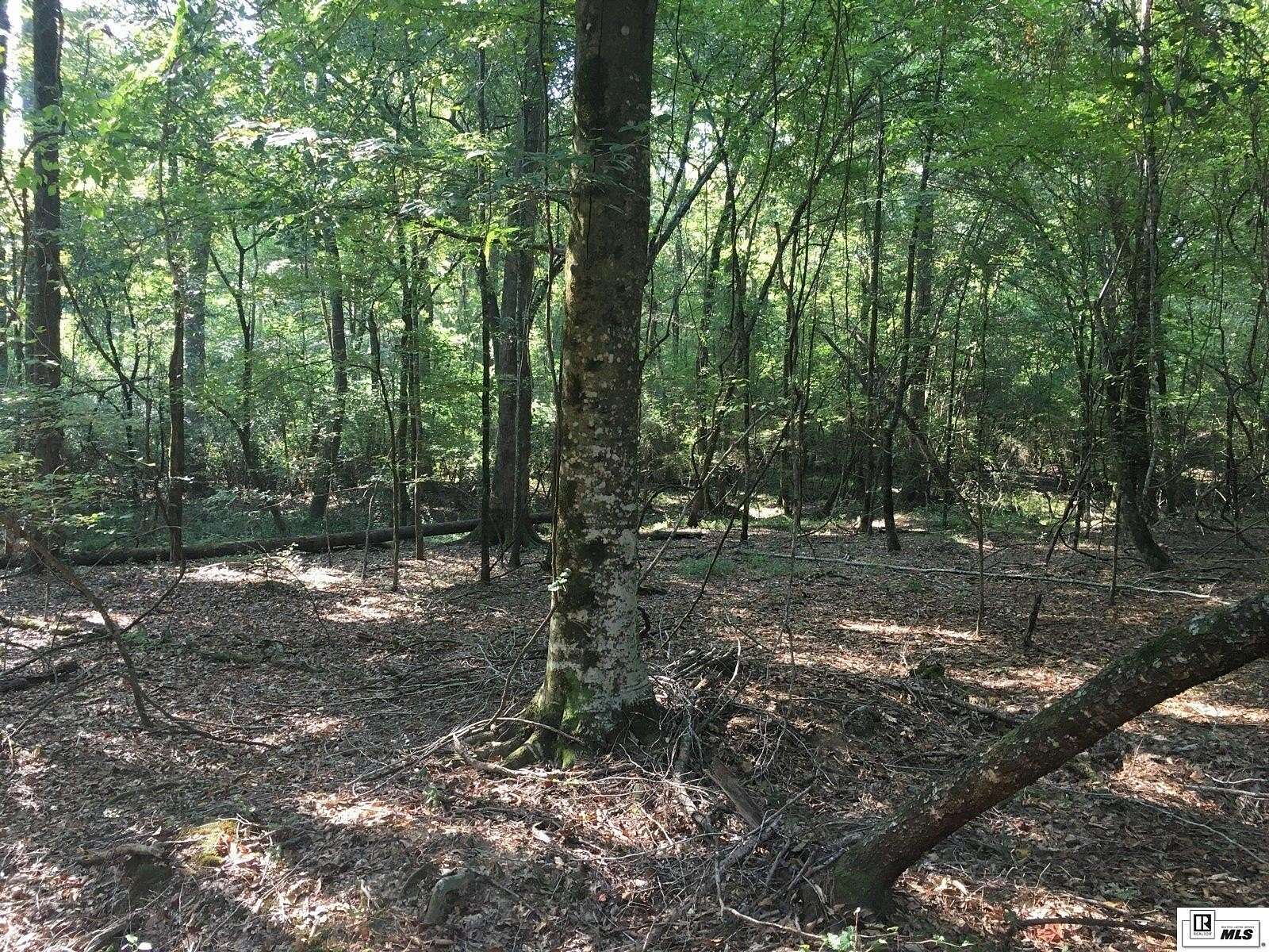 20 Acres of Recreational Land for Sale in Downsville, Louisiana