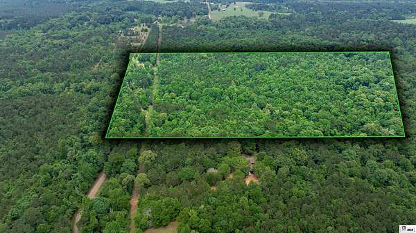 23 Acres of Recreational & Residential Land for Sale in Downsville, Louisiana
