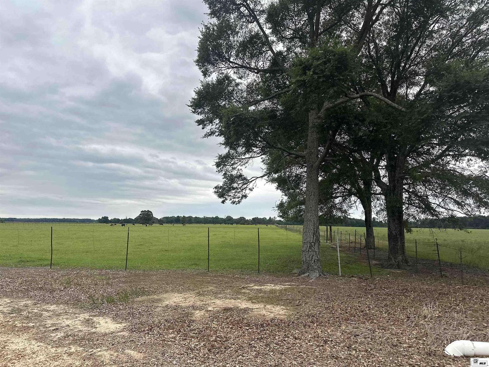 10 Acres of Agricultural Land for Sale in Winnsboro, Louisiana
