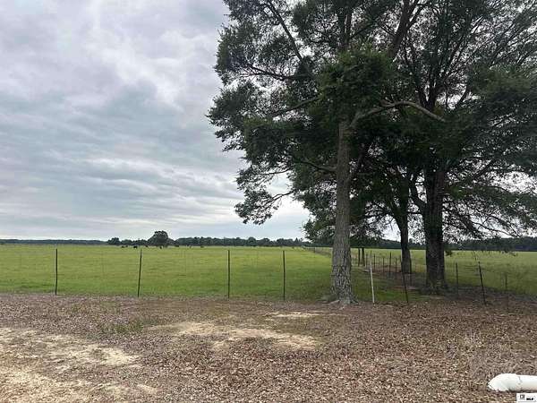 10 Acres of Agricultural Land for Sale in Winnsboro, Louisiana