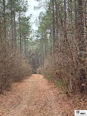 55.7 Acres of Recreational & Residential Land for Sale in Ruston, Louisiana