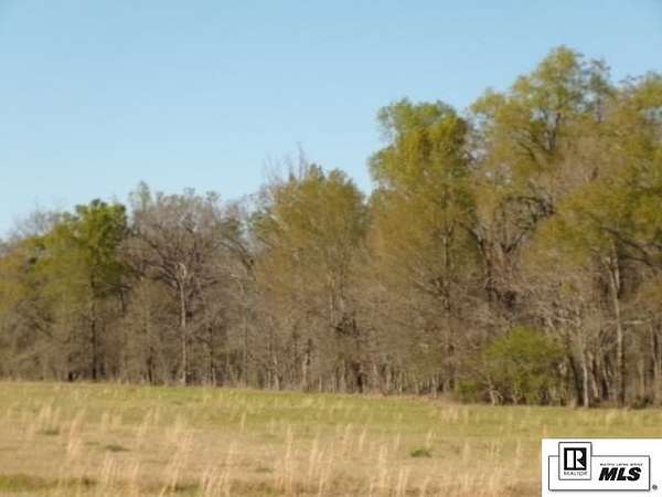 40 Acres of Land for Sale in Winnsboro, Louisiana