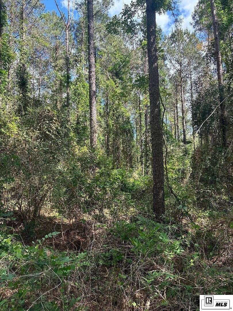 15 Acres of Recreational & Residential Land for Sale in Choudrant, Louisiana