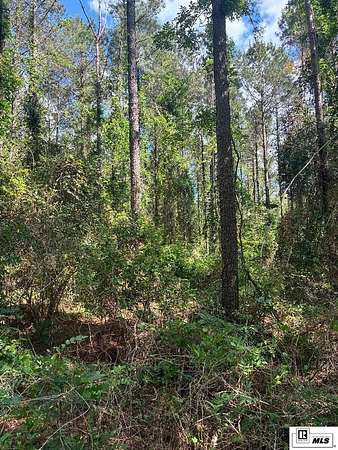 15 Acres of Recreational & Residential Land for Sale in Choudrant, Louisiana