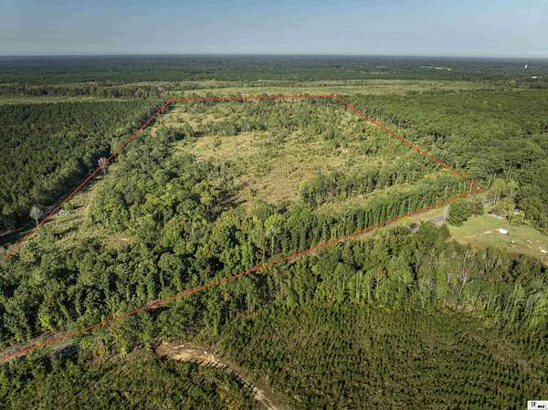 73.7 Acres of Recreational Land for Sale in Linville, Louisiana