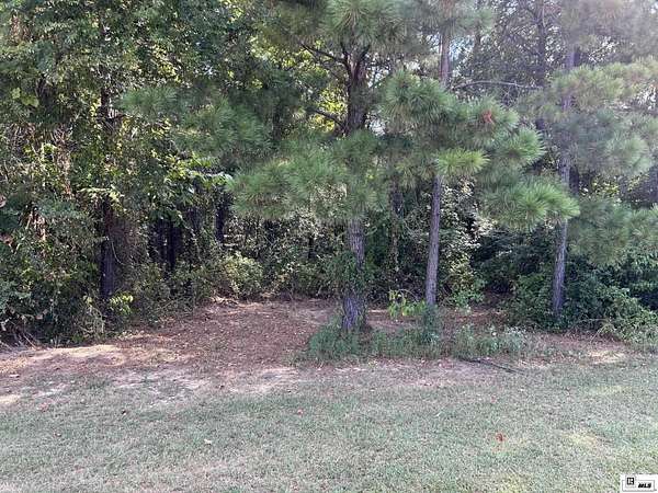 Residential Land for Sale in Calhoun, Louisiana