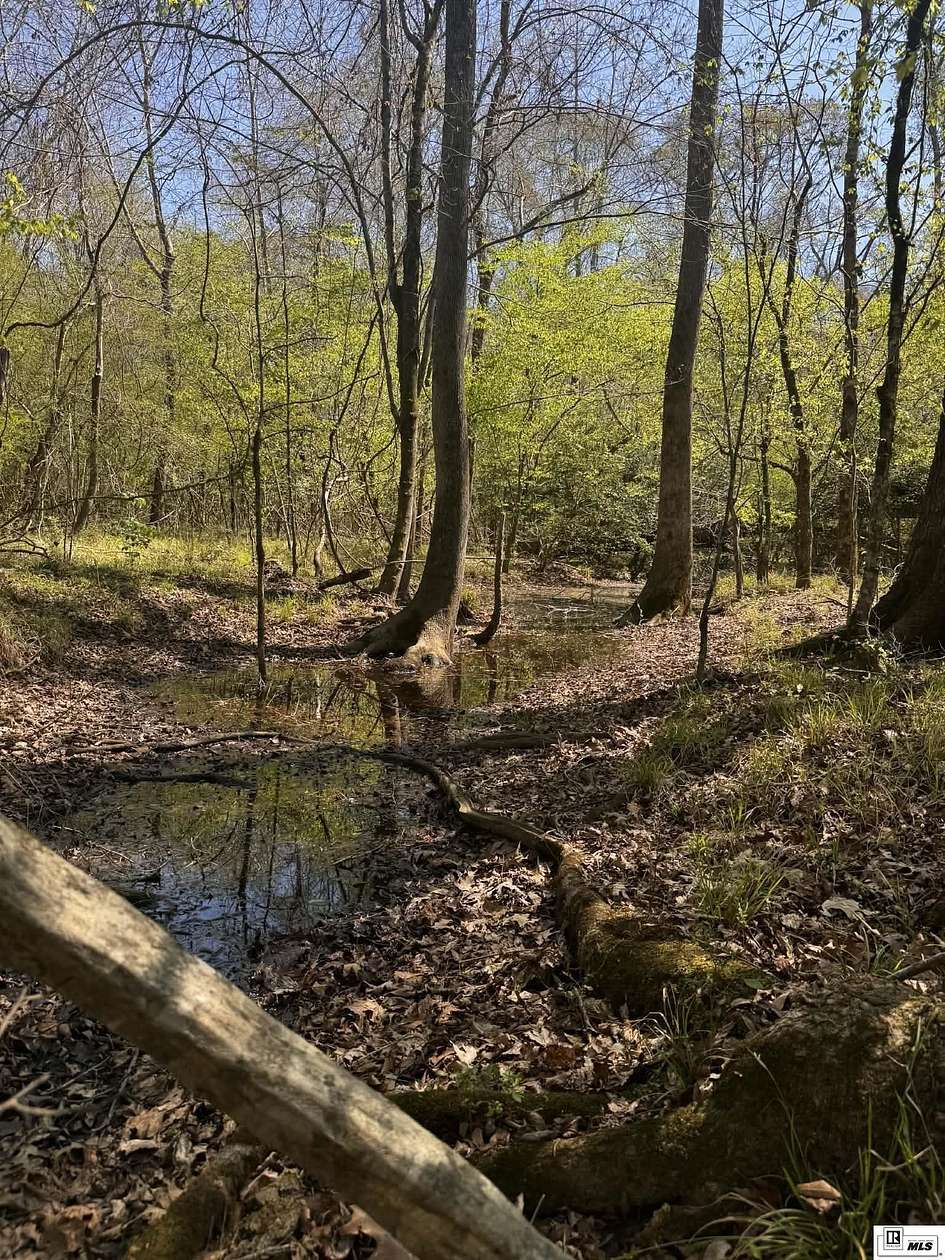 73 Acres of Recreational Land for Sale in Homer, Louisiana