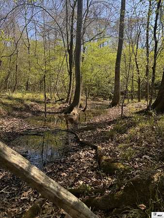 73 Acres of Recreational Land for Sale in Homer, Louisiana