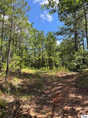 101 Acres of Recreational & Residential Land for Sale in Choudrant, Louisiana