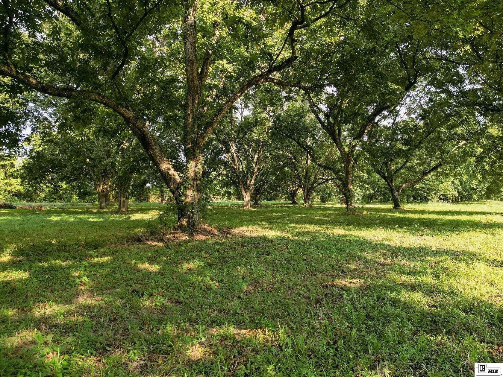1.5 Acres of Residential Land for Sale in Tallulah, Louisiana