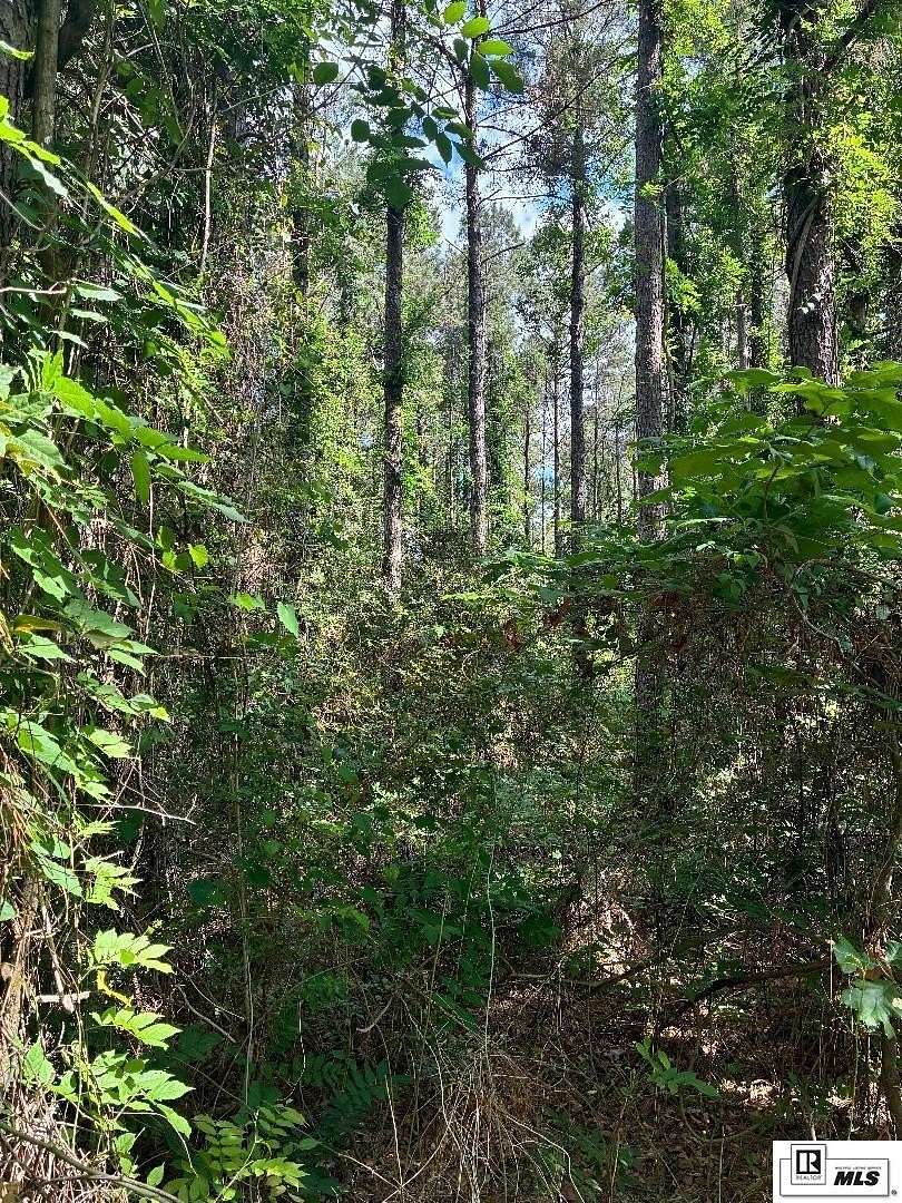 25 Acres of Recreational & Residential Land for Sale in Choudrant, Louisiana