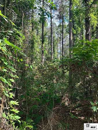25 Acres of Recreational & Residential Land for Sale in Choudrant, Louisiana