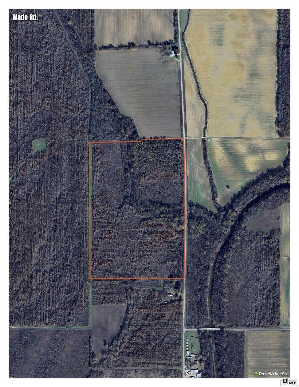 60 Acres of Recreational Land for Sale in Pioneer, Louisiana