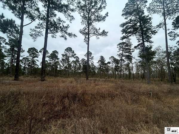 Residential Land for Sale in West Monroe, Louisiana