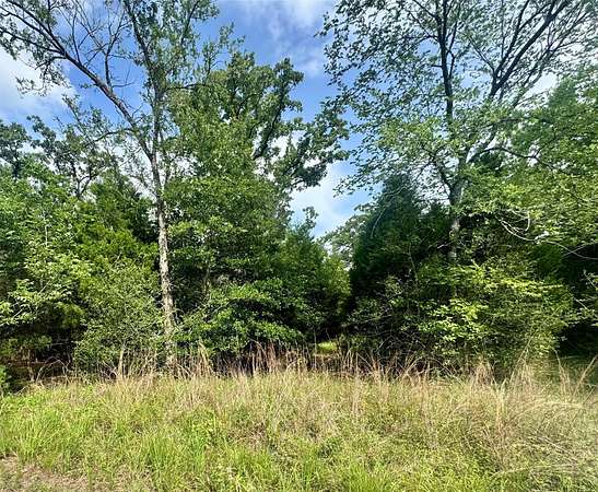 0.06 Acres of Residential Land for Sale in Log Cabin, Texas