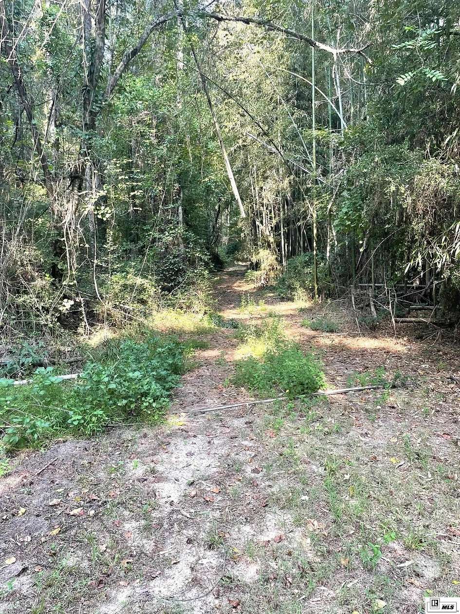 14.4 Acres of Land for Sale in Chatham, Louisiana