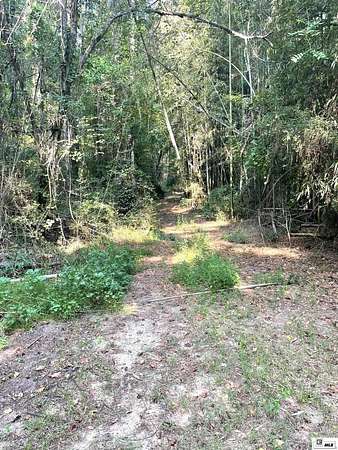 14.4 Acres of Land for Sale in Chatham, Louisiana