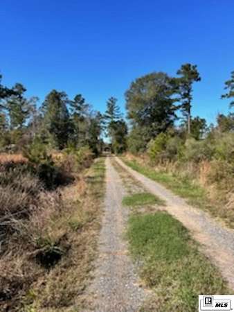 43 Acres of Land for Sale in West Monroe, Louisiana
