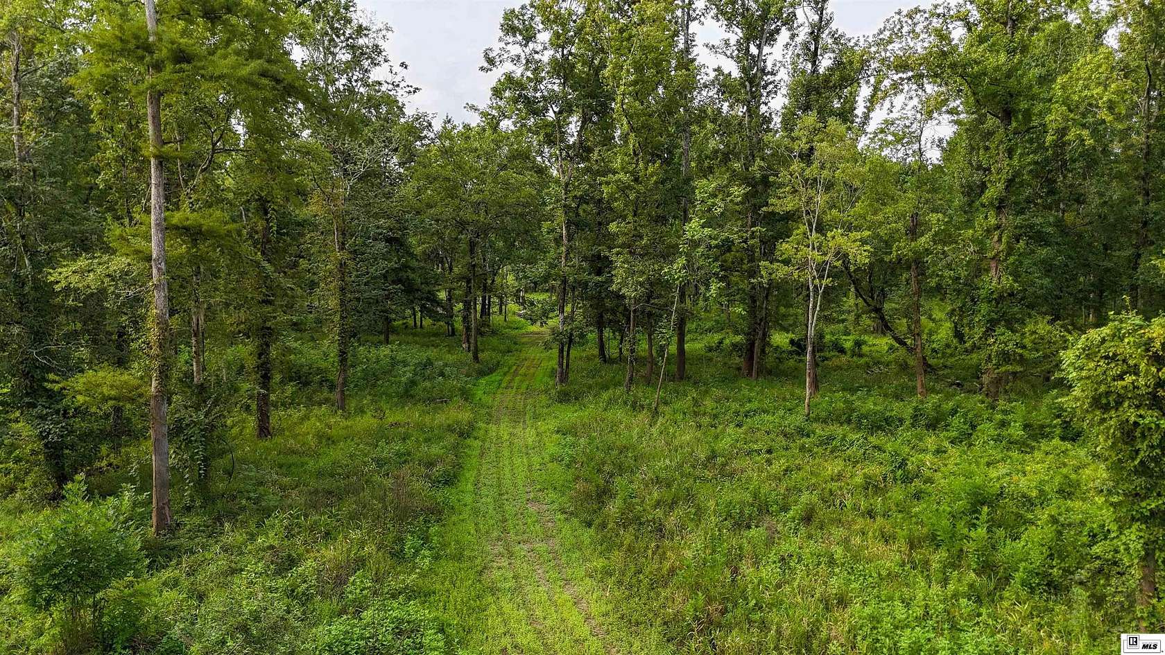 351 Acres of Recreational Land for Sale in Lorman, Mississippi