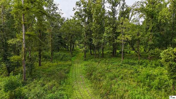 351 Acres of Recreational Land for Sale in Lorman, Mississippi