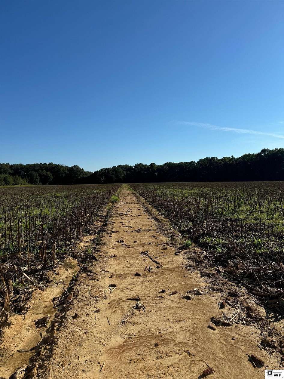 128 Acres of Land for Sale in Crowville, Louisiana