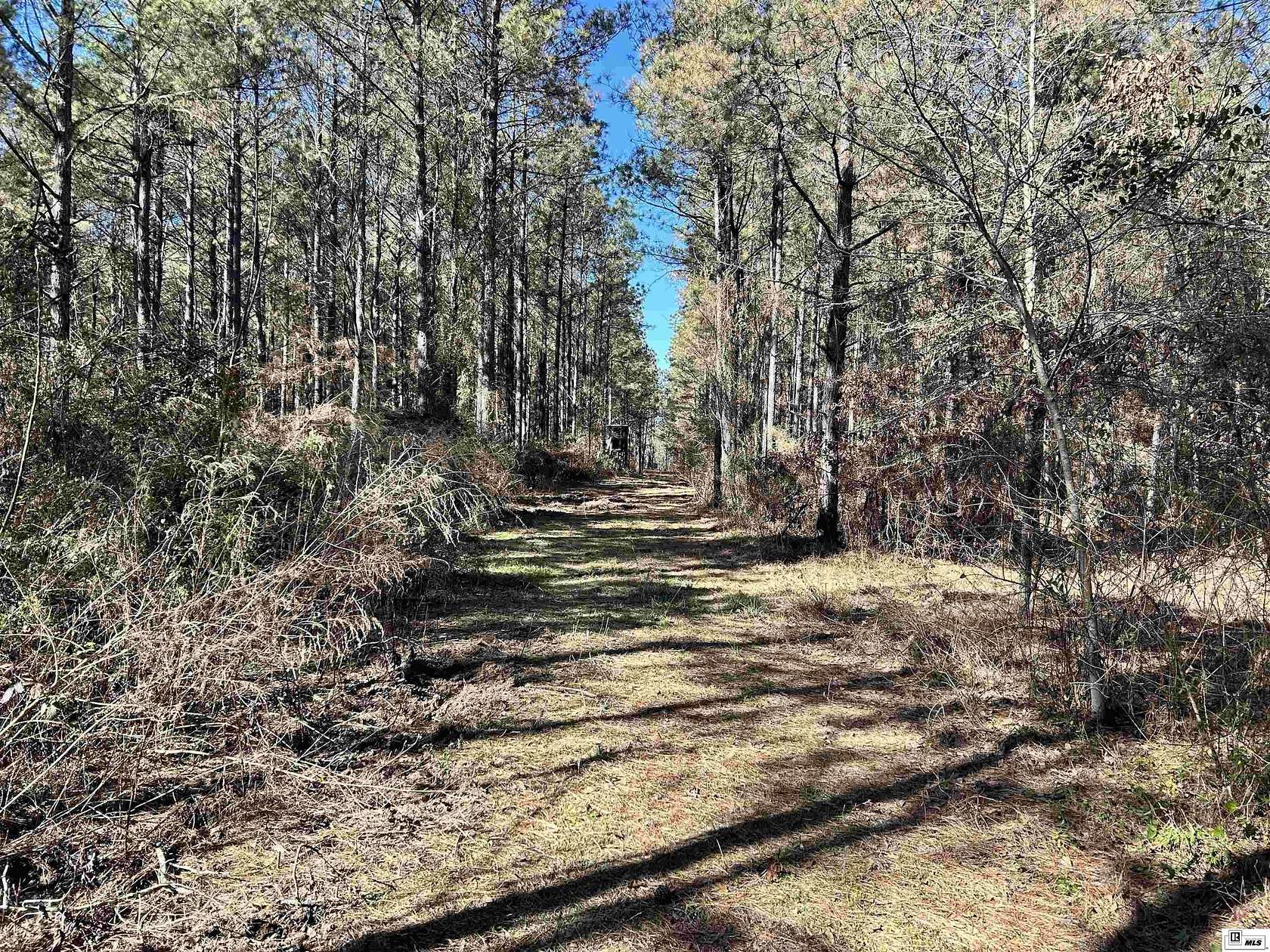 38.5 Acres of Recreational Land for Sale in Farmerville, Louisiana