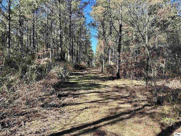 38.5 Acres of Recreational Land for Sale in Farmerville, Louisiana