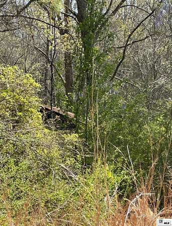 0.25 Acres of Residential Land for Sale in Jonesboro, Louisiana