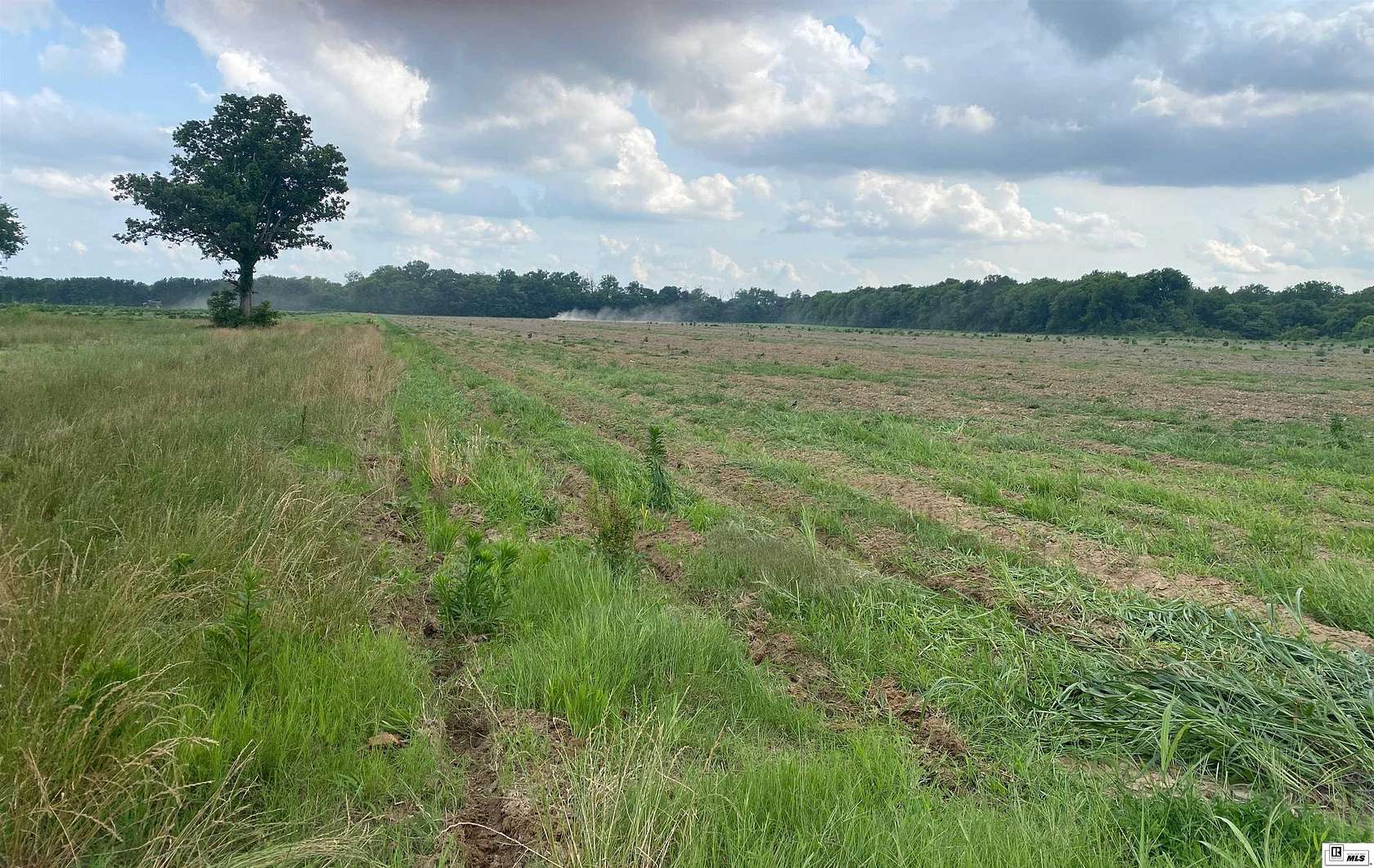 81.8 Acres of Agricultural Land for Sale in Rayville, Louisiana