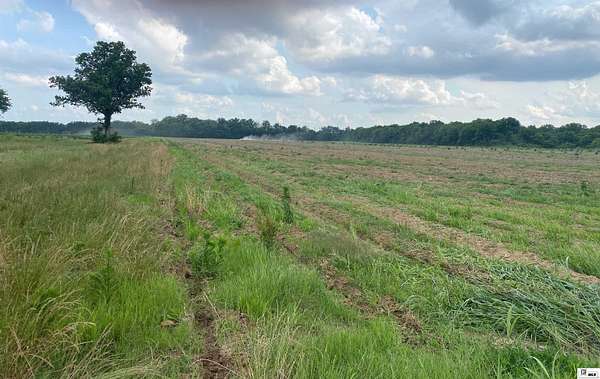 81.8 Acres of Agricultural Land for Sale in Rayville, Louisiana
