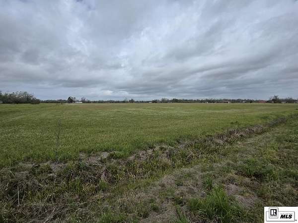 27 Acres of Agricultural & Residential Land for Sale in Rayville, Louisiana