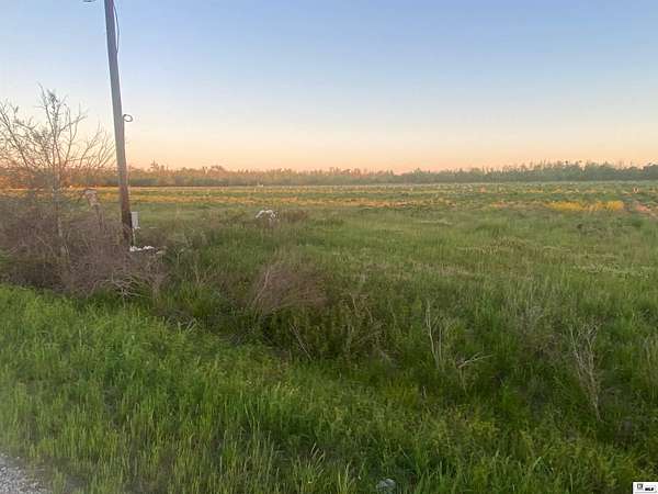 11.4 Acres of Land for Sale in Rayville, Louisiana