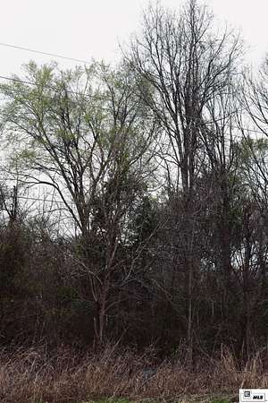 1 Acre of Land for Sale in Wisner, Louisiana