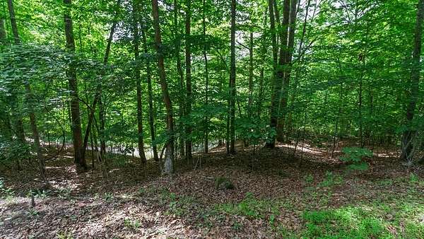 2.72 Acres of Residential Land for Sale in Franklin, North Carolina