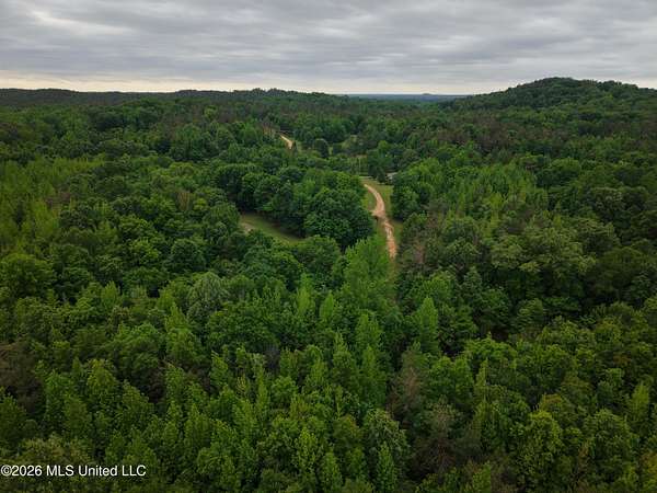 48.7 Acres of Land for Sale in Grenada, Mississippi