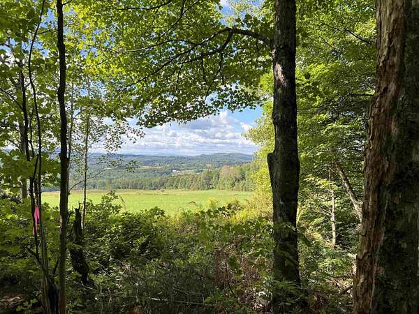 20.9 Acres of Land for Sale in Cabot, Vermont