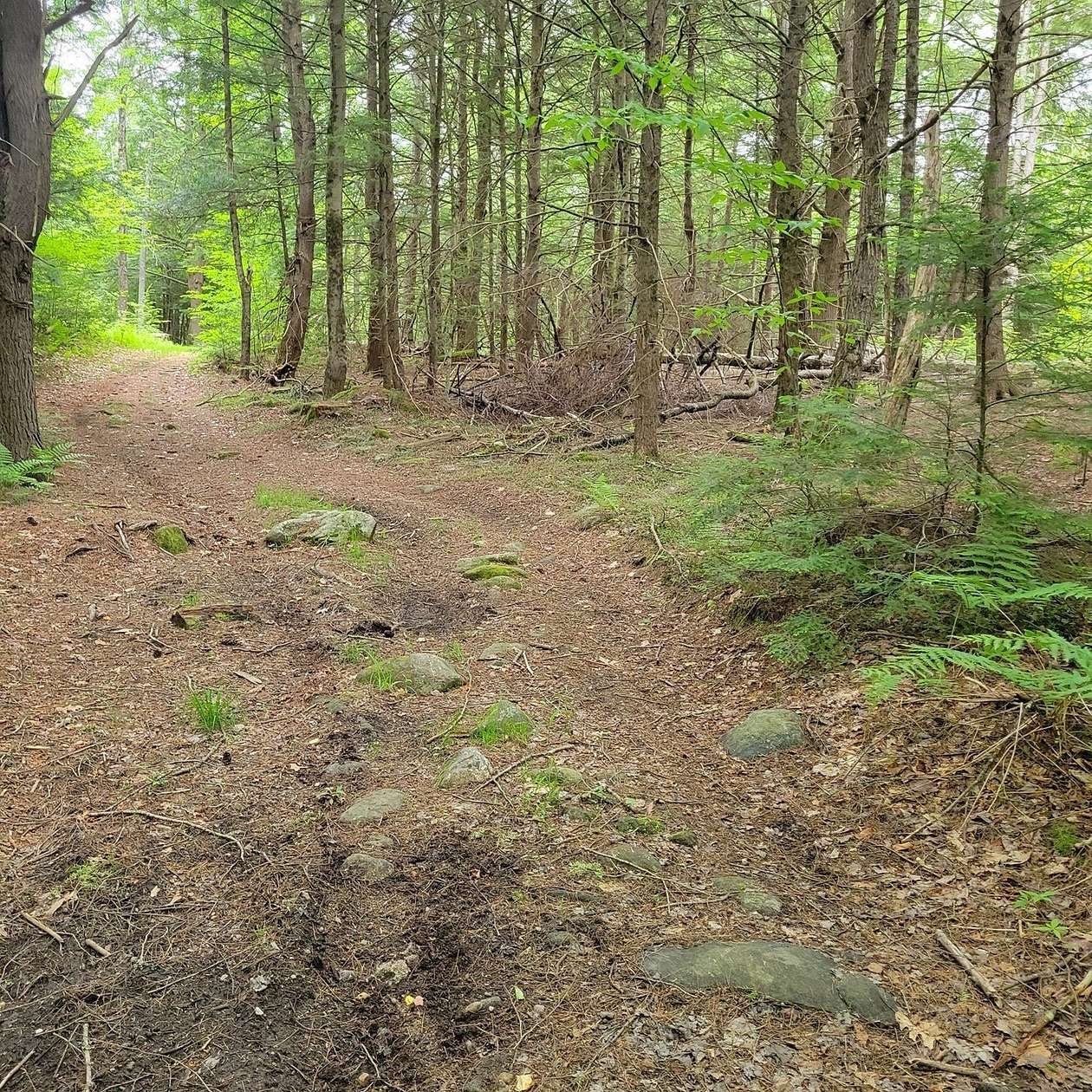 17 Acres of Recreational Land for Sale in Royalston, Massachusetts