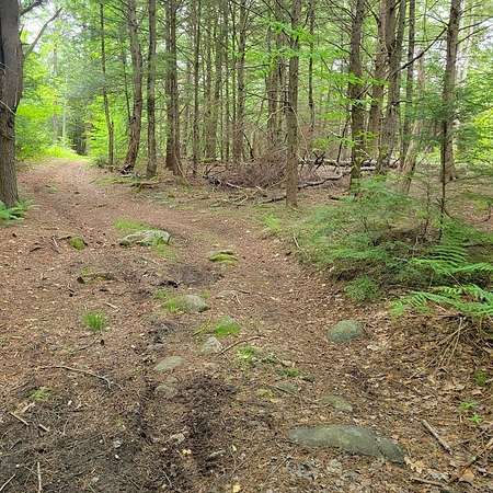 17 Acres of Recreational Land for Sale in Royalston, Massachusetts
