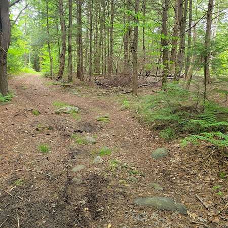 17 Acres of Recreational Land for Sale in Royalston, Massachusetts