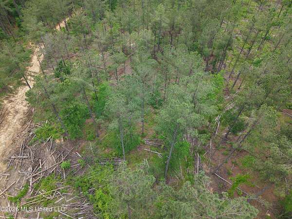 109 Acres of Land for Sale in Grenada, Mississippi