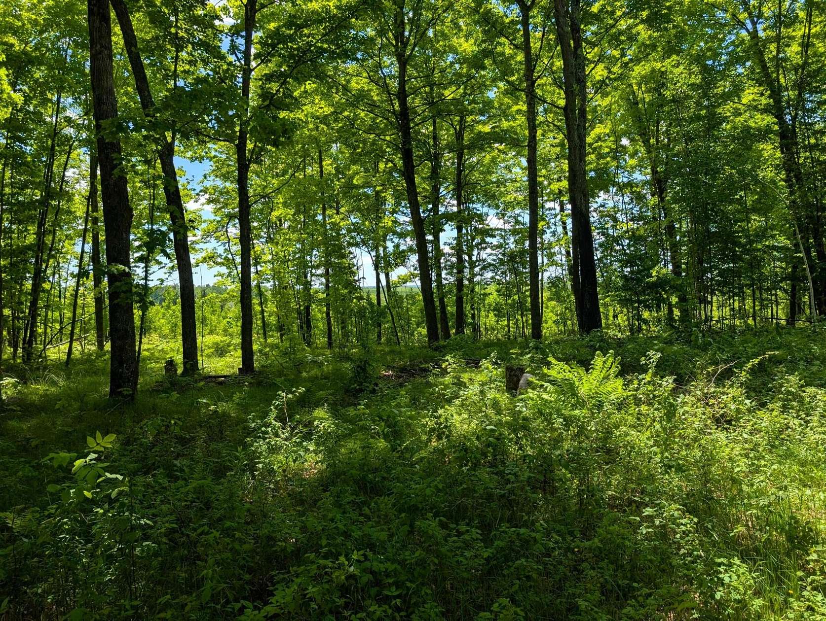 280 Acres of Recreational Land for Sale in Phillips, Wisconsin