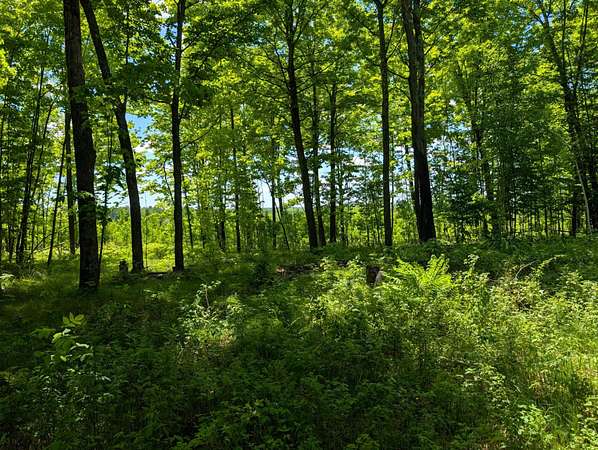 280 Acres of Recreational Land for Sale in Phillips, Wisconsin