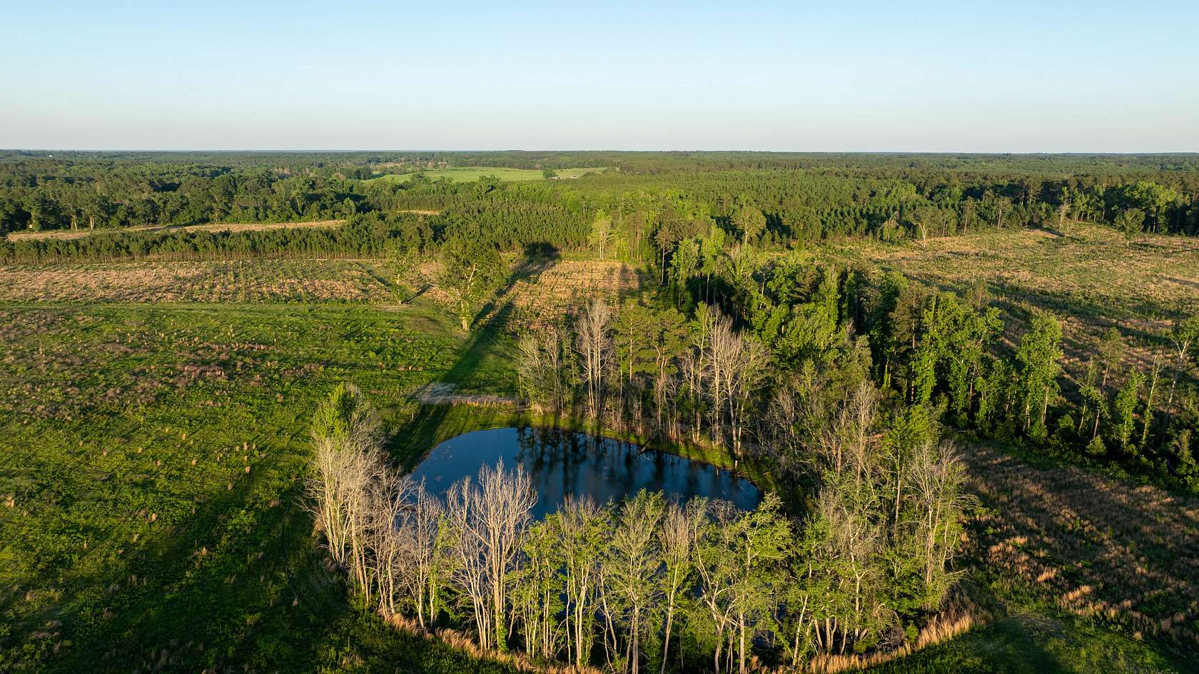101 Acres of Recreational Land for Sale in Sylvania, Georgia