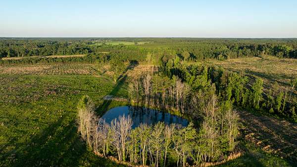 101 Acres of Recreational Land for Sale in Sylvania, Georgia