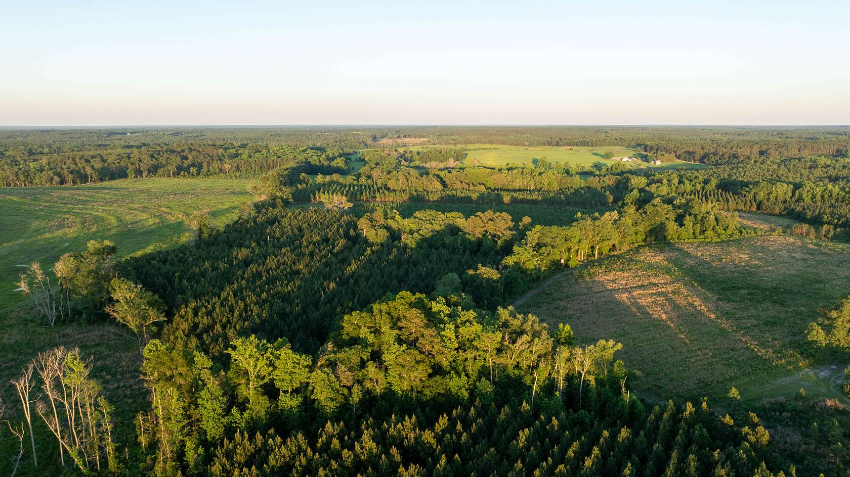 104 Acres of Recreational Land for Sale in Sylvania, Georgia